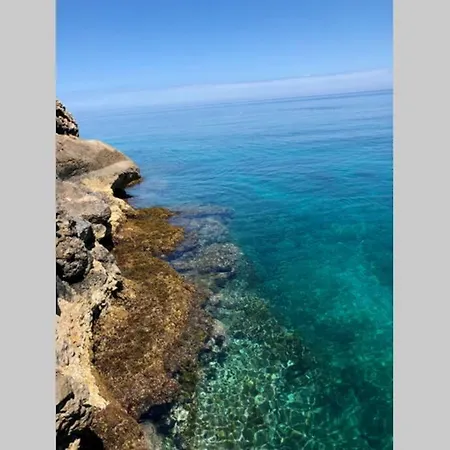 Villa Il Mio Mare - Villa By The Sea Palermo